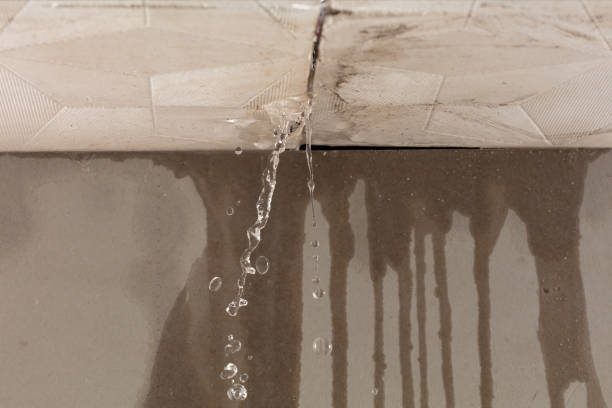 Professional Flood Damage Cleanup technician working in Goodrich, MI